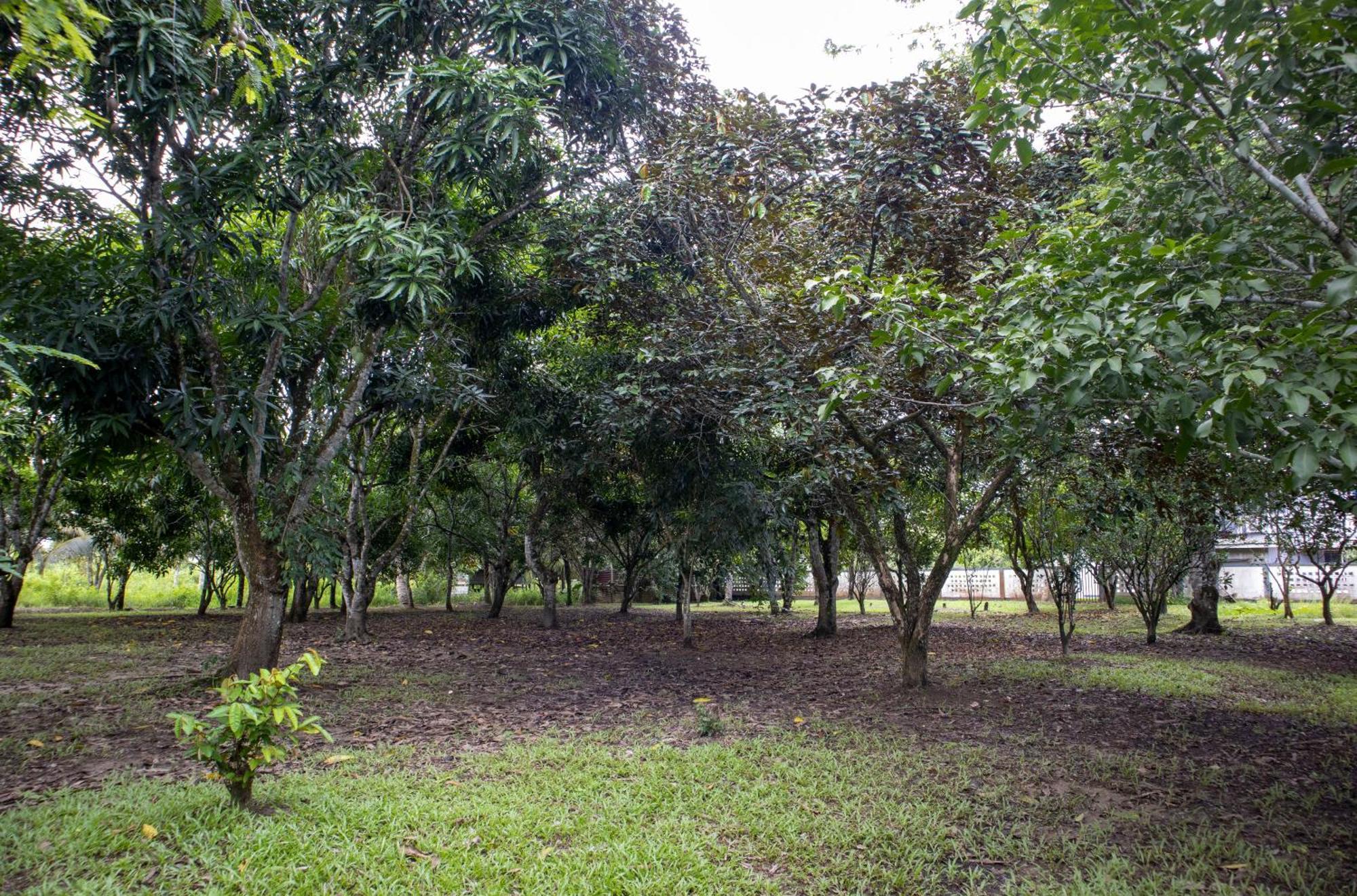 Sabajo Appartement Verhuur Paramaribo Zewnętrze zdjęcie