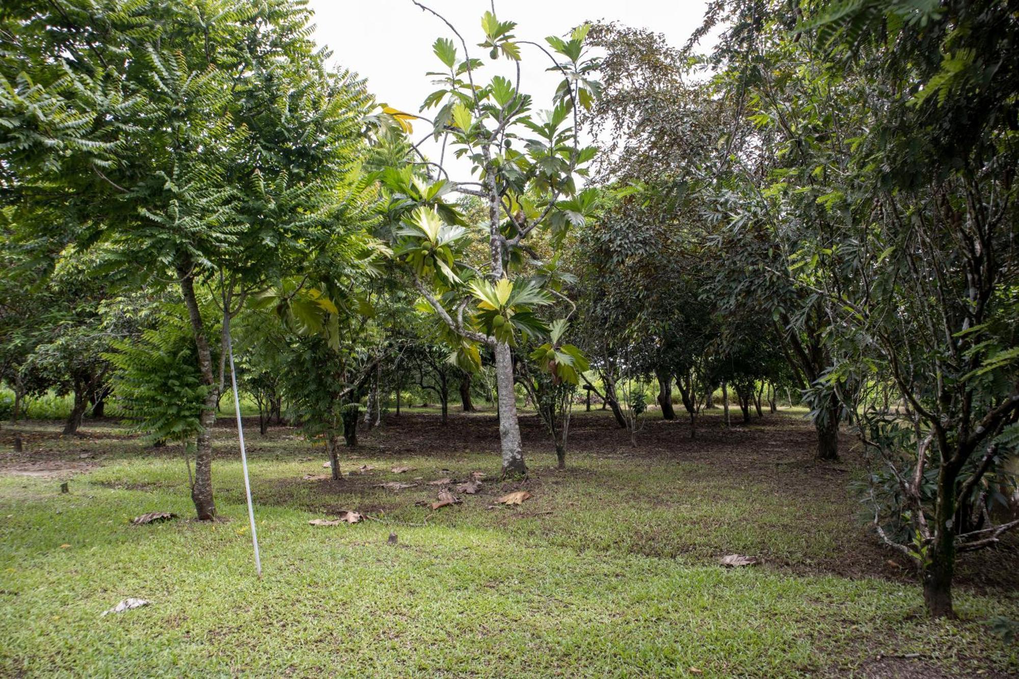 Sabajo Appartement Verhuur Paramaribo Zewnętrze zdjęcie